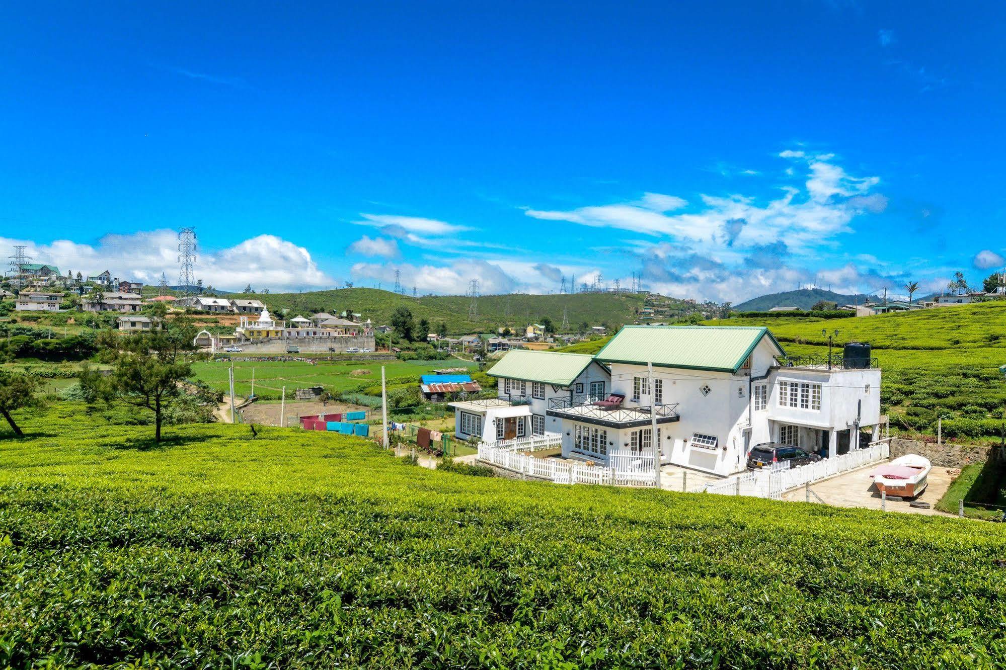 Villa Tea Fields Нувара Елия Екстериор снимка